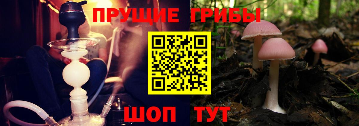 Псилоцибиновые грибы мухоморы Феодосия